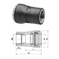 Plasson Serie 1, Raccord enfichable avec filetage intérieur en laiton 1073