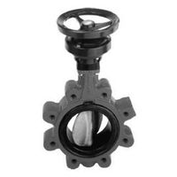 Boax-SF Absperrklappe, mit Getriebe