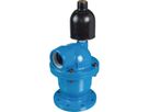HAWLE, Purgeur-aérateur, DN 80 à DN 100 9830