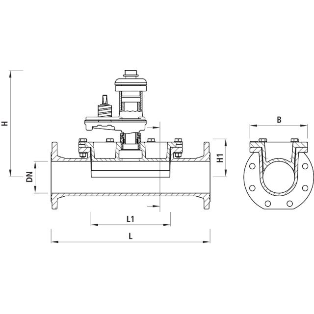 HAWLE Pièce de nettoyage et contrôle
9842 DN125 PN10
avec garniture de rinçage montée