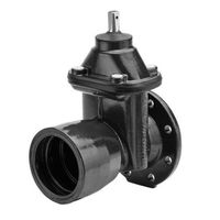 WILD, Poussoir, avec bride et manchon fileté