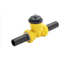 Vanne à embouts à souder Wild gaz