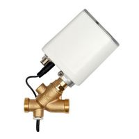 +GF+ JRG Hycleen LegioTherm 2T Vanne de circulation avec contrôleur DN20