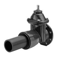 WILD, Poussoir, avec bride et manchon fileté